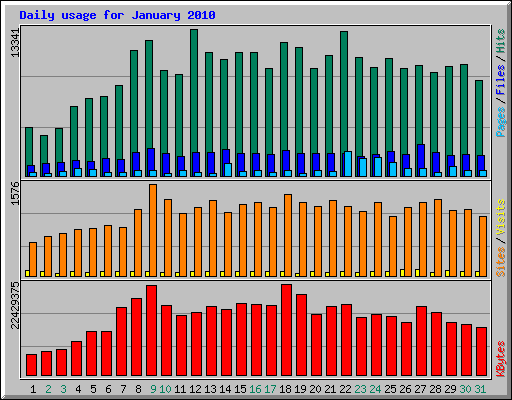 Daily usage for January 2010