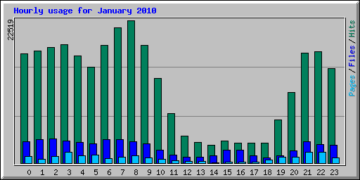 Hourly usage for January 2010